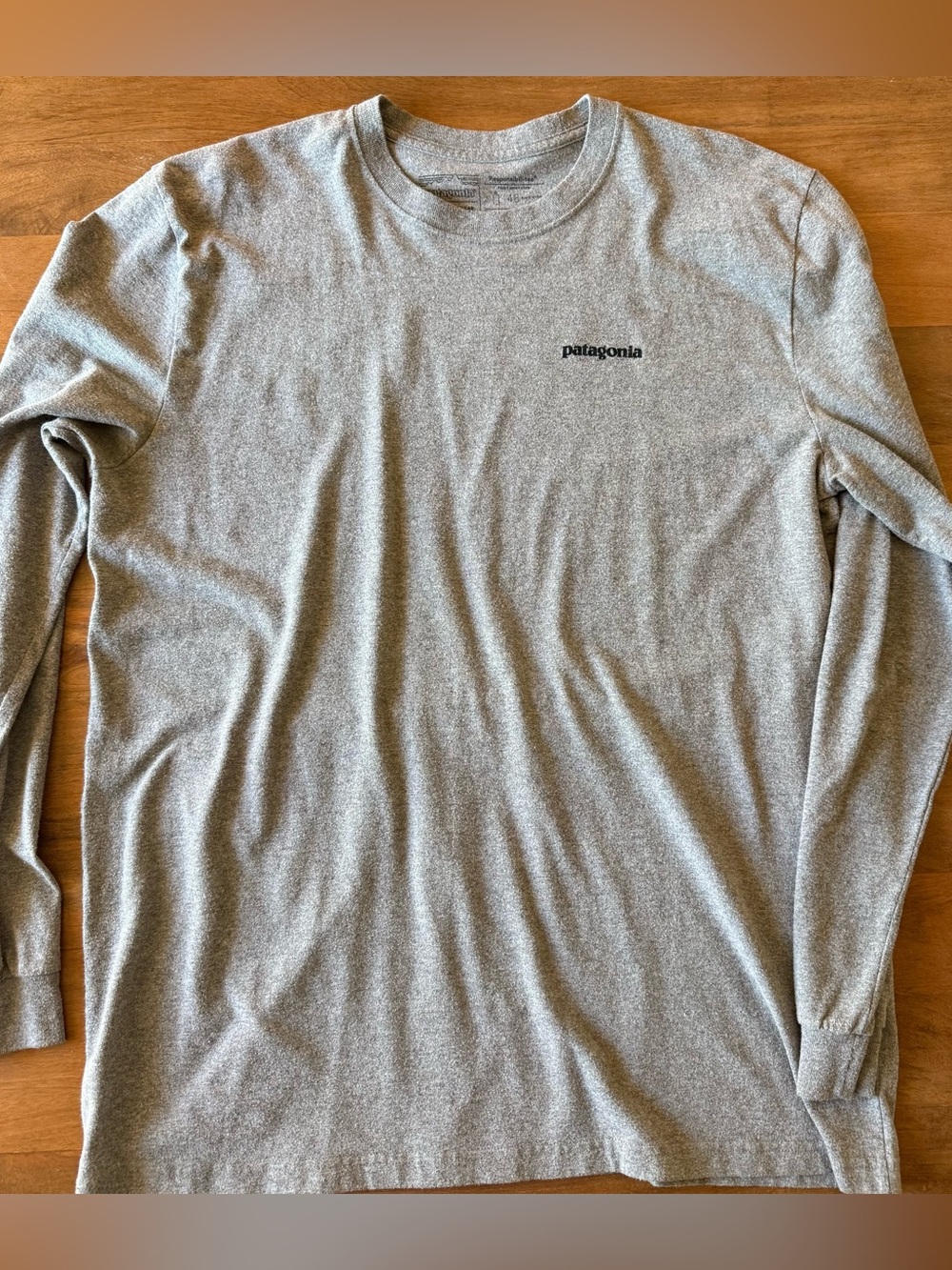 Patagonia Gray Long-Sleeve Crew Shirt with Fitz Roy Bison Logo Responsiblili-T